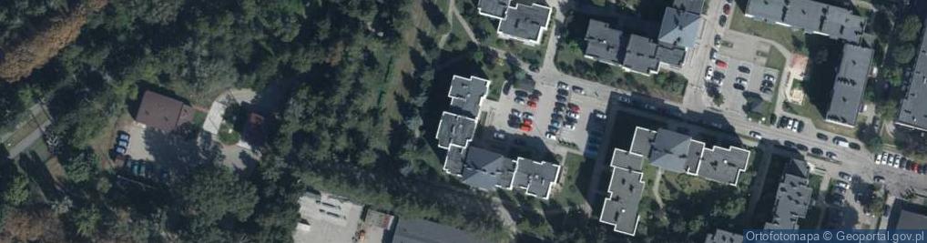 Zdjęcie satelitarne Nel-Ro Ewelina Gajos