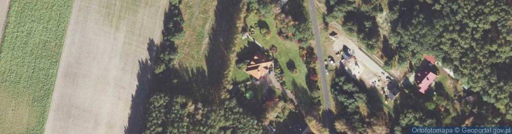 Zdjęcie satelitarne New Kids Nowicka Kuras