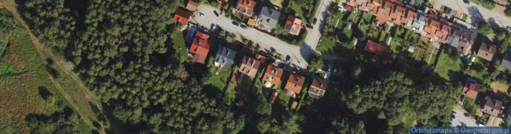 Zdjęcie satelitarne New Systems