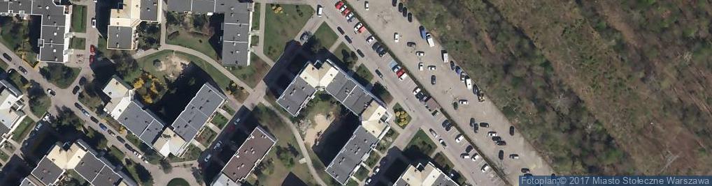 Zdjęcie satelitarne Niebieskie Migdały Akademia Spraw Nie Mniej Ważnych Anetta Czapska Katarzyna Czapska