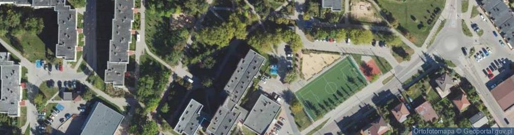 Zdjęcie satelitarne Niewulis Tomasz