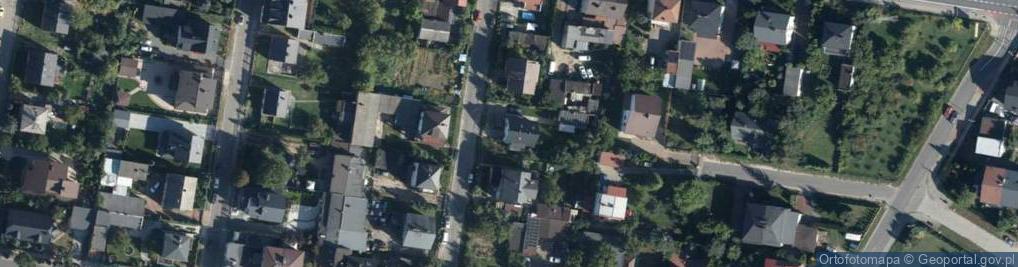 Zdjęcie satelitarne Nina Widyńska