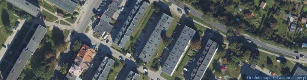 Zdjęcie satelitarne Nord Star