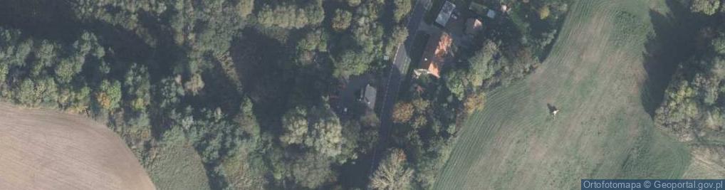 Zdjęcie satelitarne Nowak Andrzej Zakład Usług Leśnych Sosenka