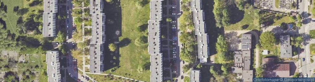 Zdjęcie satelitarne Nowak Anna Odynka Anna Nowak