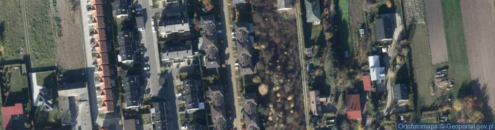 Zdjęcie satelitarne NYSM