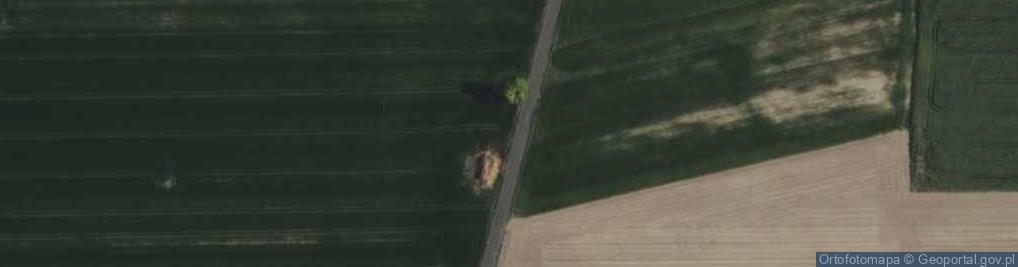 Zdjęcie satelitarne Obidówek Folwark