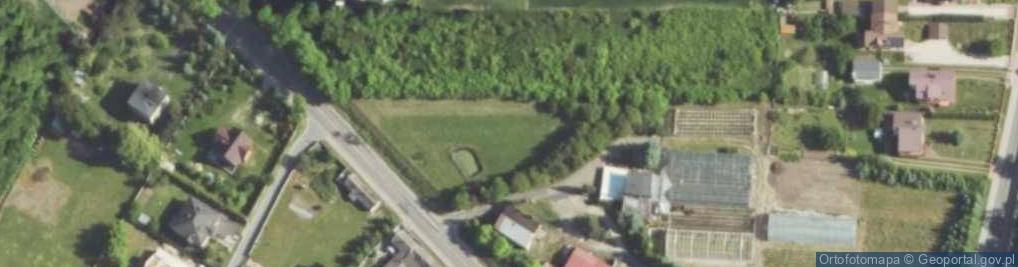 Zdjęcie satelitarne Ogrodnictwo Grażyna Stala