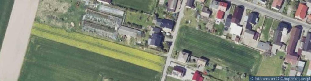 Zdjęcie satelitarne Ogrodnictwo Kupc Piotr
