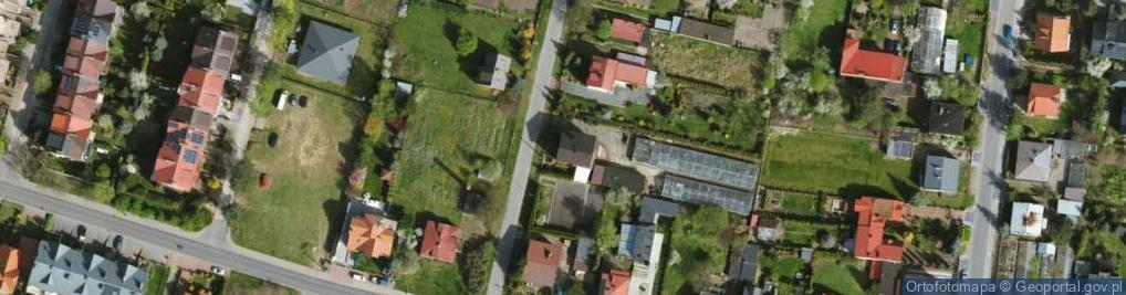 Zdjęcie satelitarne Ogrodnictwo Uprawa Warzyw Kowalska Maria