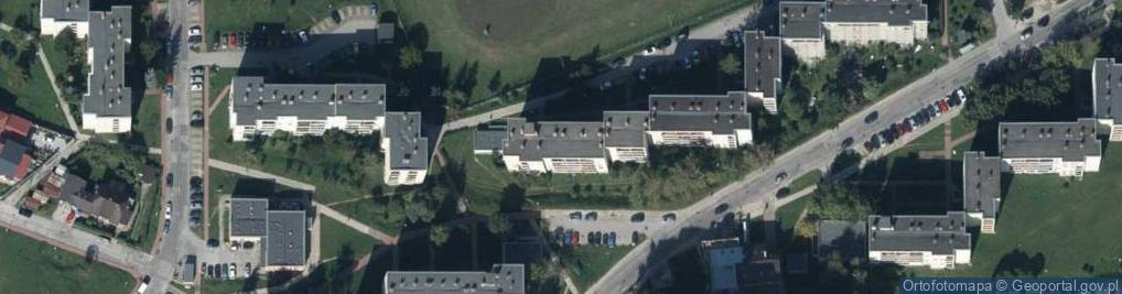 Zdjęcie satelitarne Olena Bystrytska