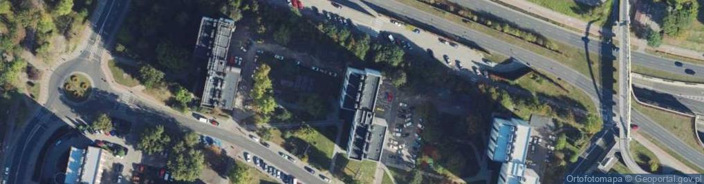 Zdjęcie satelitarne Olivia