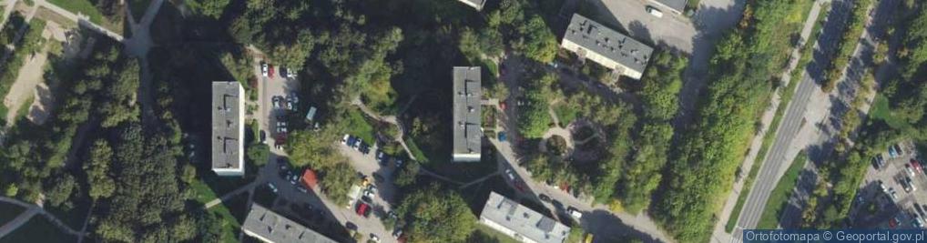 Zdjęcie satelitarne Olsped T Adrjan P Niczyperowicz