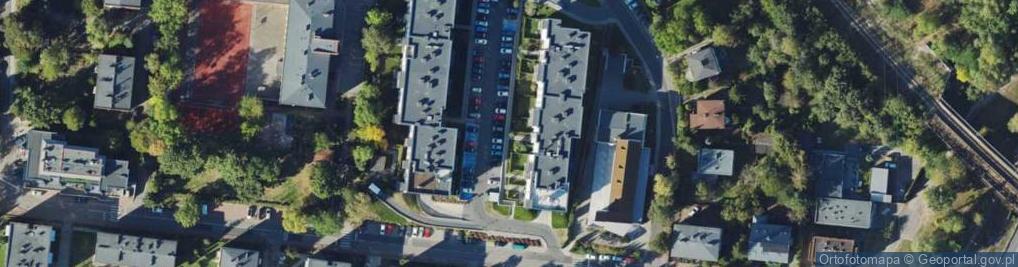 Zdjęcie satelitarne Opony Południe