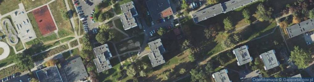 Zdjęcie satelitarne Osobowy Transport Drogowy