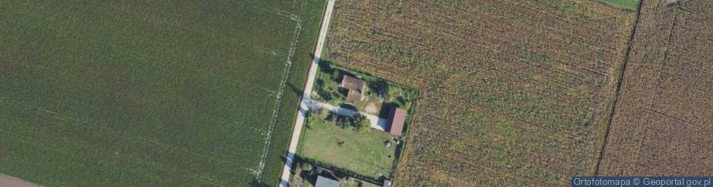 Zdjęcie satelitarne OSP w Gołębiewku Nowym