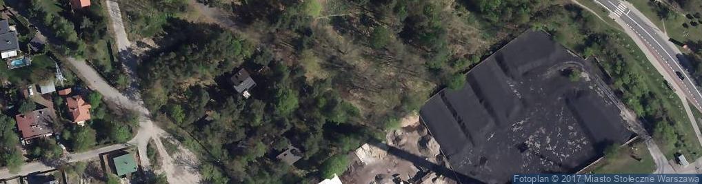 Zdjęcie satelitarne P&B International