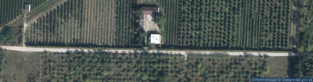 Zdjęcie satelitarne P H U Romax Elżbieta Sylwestra Romanowska Tadeusz Romanowski
