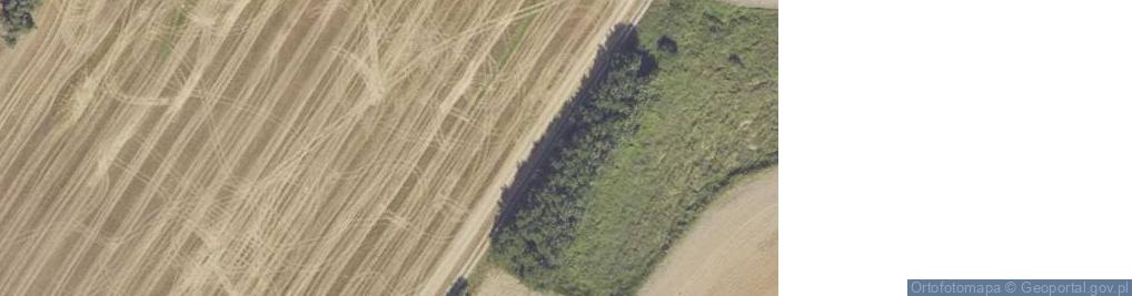 Zdjęcie satelitarne P.P.H.U.Krap Arkadiusz Krupowicz