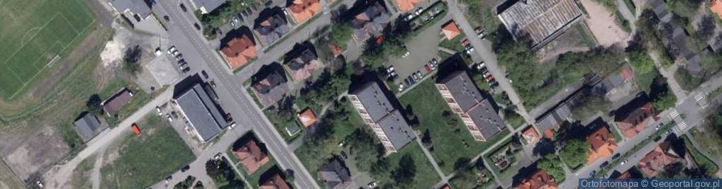 Zdjęcie satelitarne Pacuła Tomasz Tomasz Pacuła Usługi Leśne