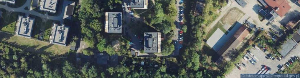 Zdjęcie satelitarne Palmowski Edward Handel Obwoźny