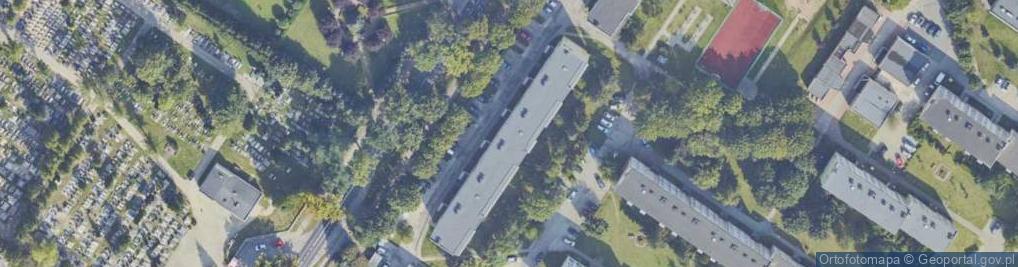 Zdjęcie satelitarne Panacea