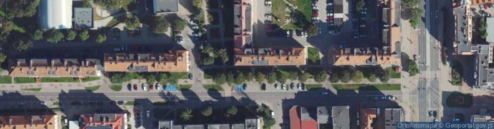 Zdjęcie satelitarne Papaja Kamila Muskus