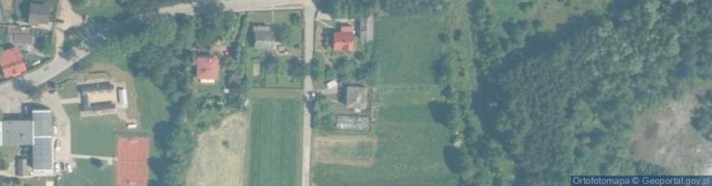 Zdjęcie satelitarne Pasternak Danuta