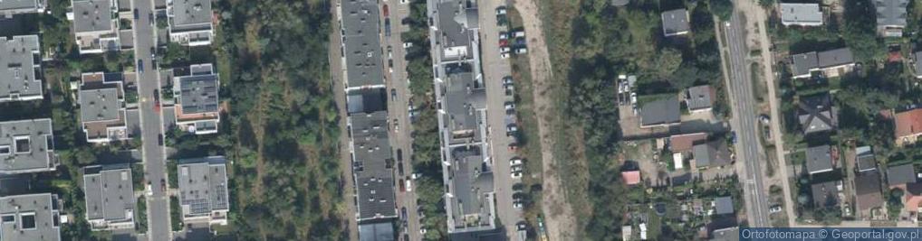 Zdjęcie satelitarne Paulina Frankowska