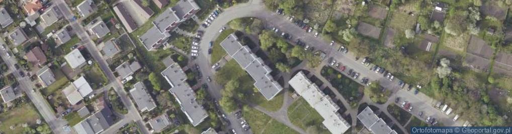 Zdjęcie satelitarne Paulina Nowakowska