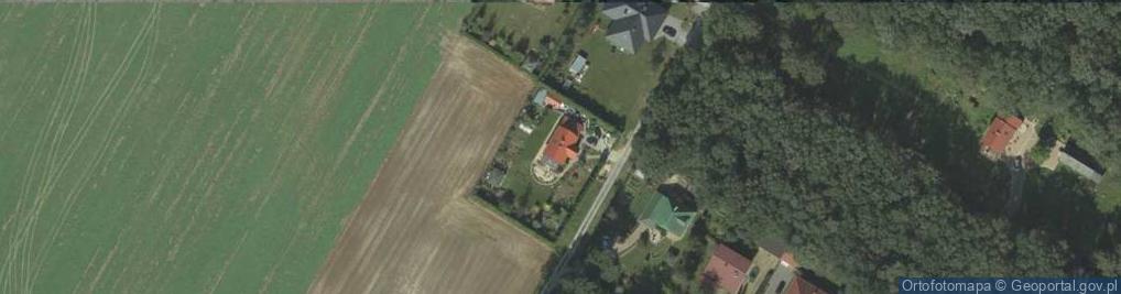 Zdjęcie satelitarne Paweł Fałdyga