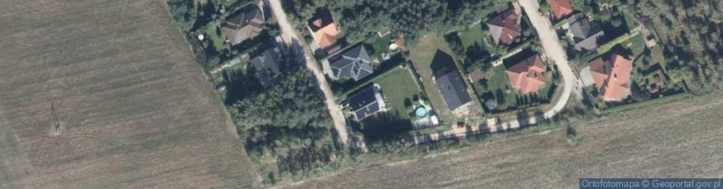 Zdjęcie satelitarne Paweł Jóźwicki Artflorysta