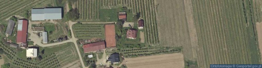 Zdjęcie satelitarne Paweł Krajewski - Działalność Gospodarcza