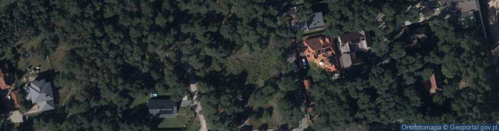 Zdjęcie satelitarne Paweł Radziejewski Data Flow