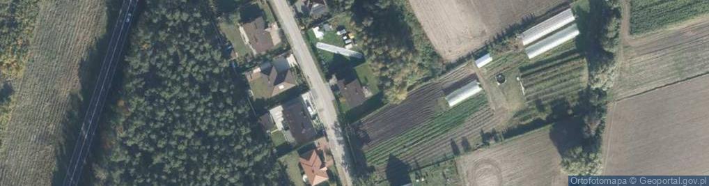 Zdjęcie satelitarne Paweł Zimowski Doradztwo Menadżerskie