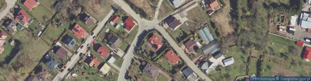 Zdjęcie satelitarne Photo Print Color