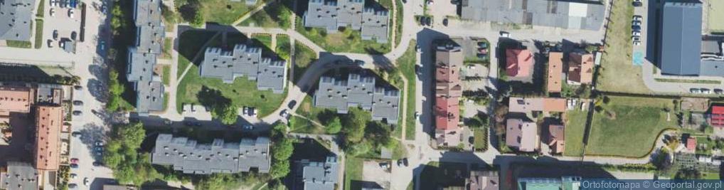 Zdjęcie satelitarne Pielęgniarka