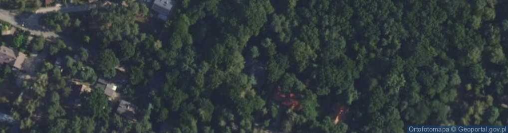 Zdjęcie satelitarne Pierrot Dorota Chotecka Pazura Radosław Pazura