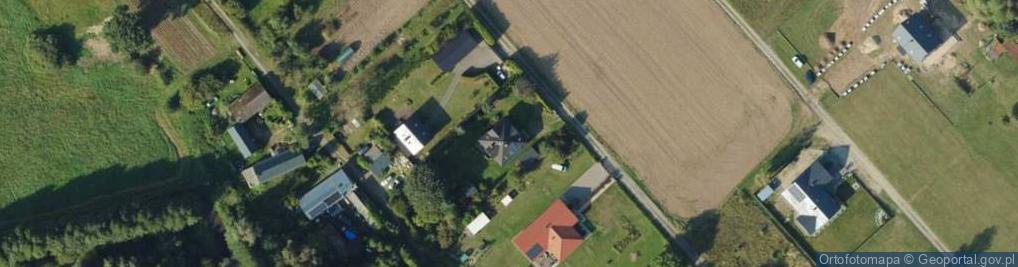 Zdjęcie satelitarne Pinus Stanisław Sołtysiak Bolesław Pyra