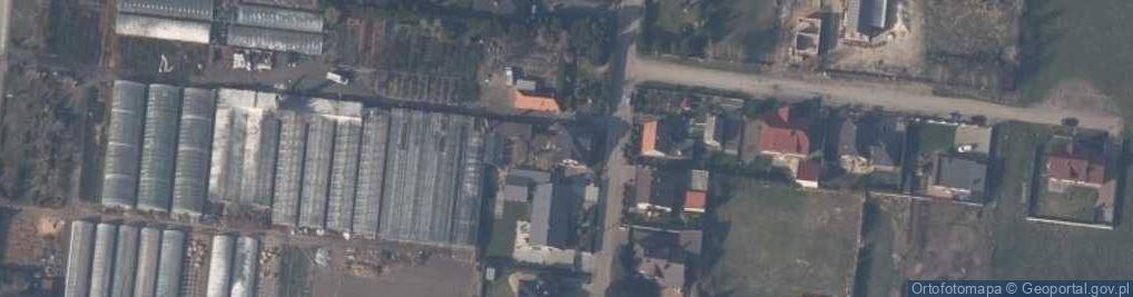 Zdjęcie satelitarne Piotr Doczekalski Gospodarstwo Ogrodniczo Szkółkarskie Piotr Doczekalski