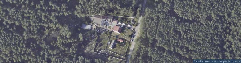 Zdjęcie satelitarne Piotr Małecki Warzywko