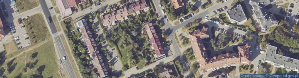 Zdjęcie satelitarne Piotr Ryś - Działalność Gospodarcza