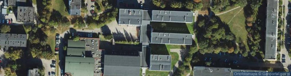 Zdjęcie satelitarne Pirania Prince Robert Pawłowski