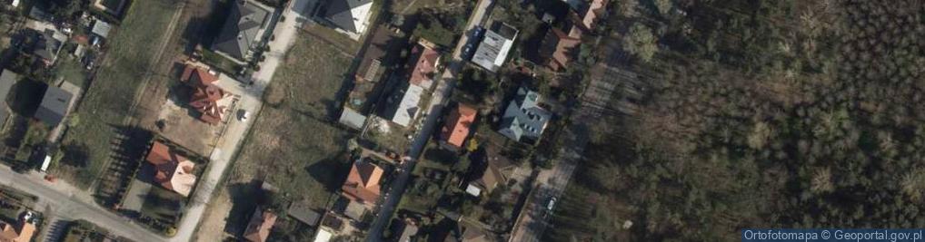 Zdjęcie satelitarne Plant Service Zakład Ogrodniczy