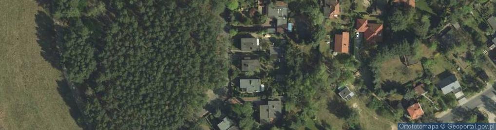Zdjęcie satelitarne Plantacja