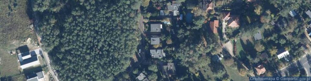 Zdjęcie satelitarne Plantacja