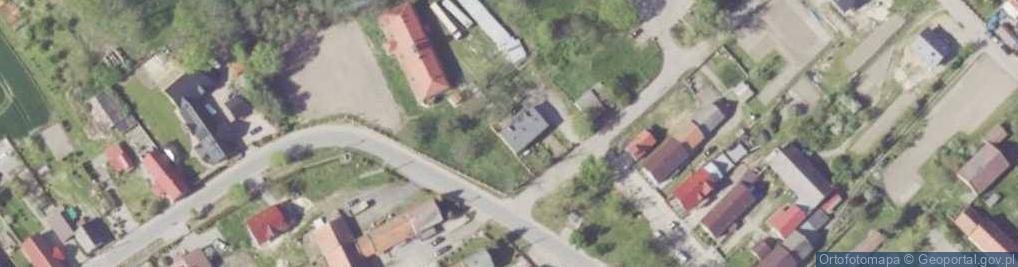 Zdjęcie satelitarne Poldrzew