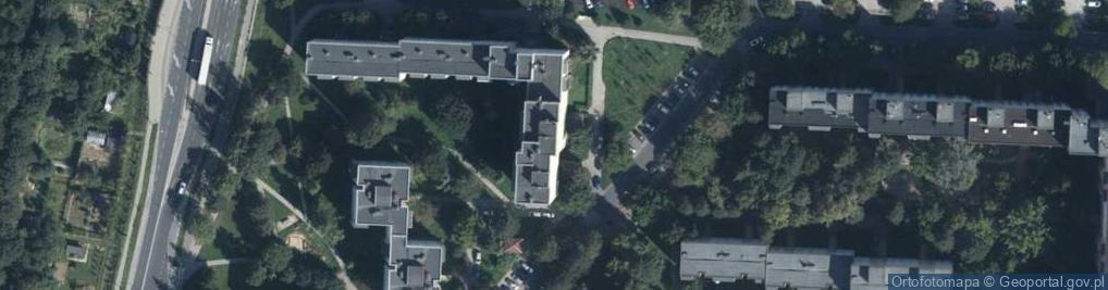 Zdjęcie satelitarne Pole Henny Urszula Chłopicka-Khan