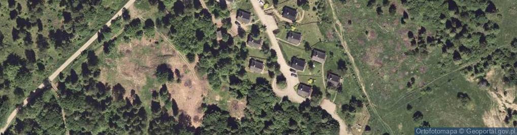 Zdjęcie satelitarne Pozyskiwanie Drewna Handel Obwoźny