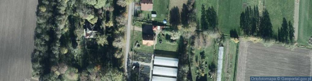 Zdjęcie satelitarne PPHU Ogrodnictwo Stokrotka